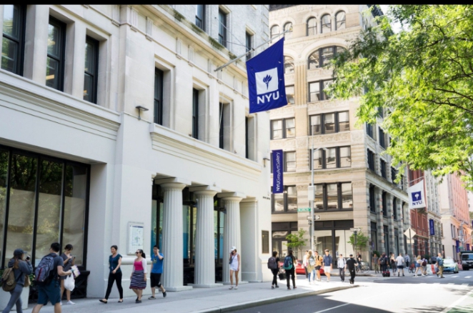 What NYU look for in an application